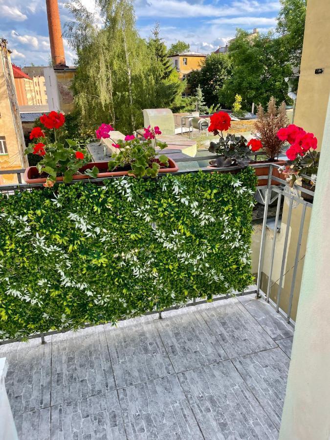 Pension Majovka Cheb Εξωτερικό φωτογραφία